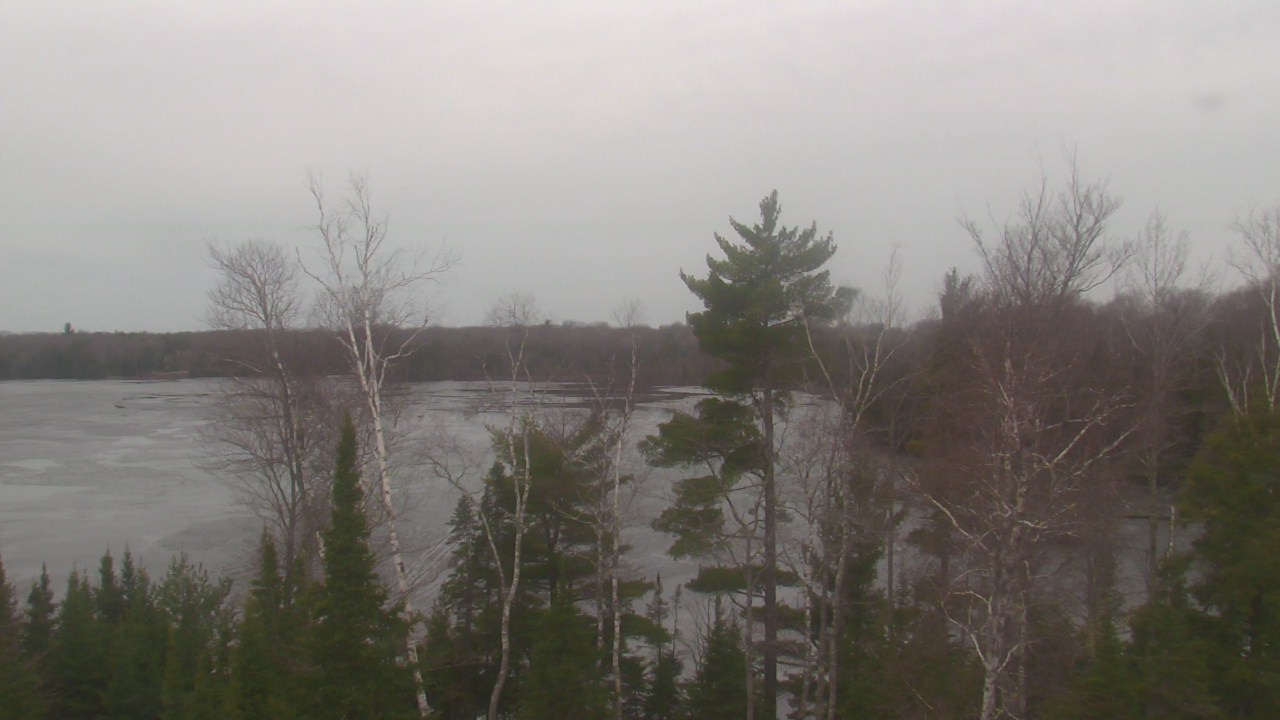 Live Camera from Conserve School, Land O Lakes, WI 54540