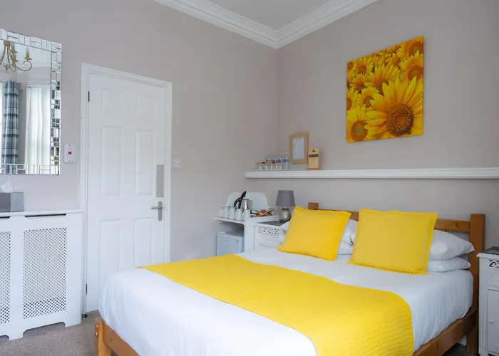 Great Yarmouth Dog Friendly Hotels Guide